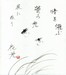 Firefly